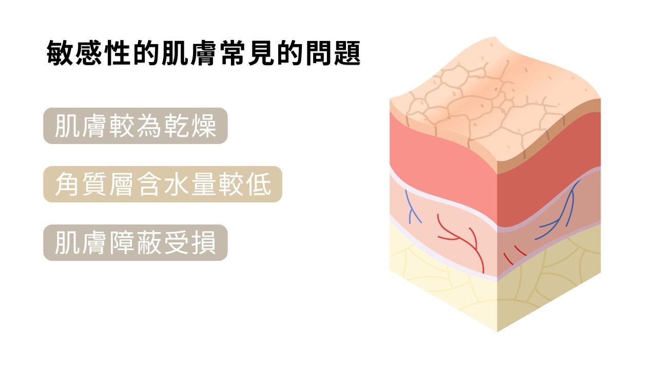 敏感性皮膚特徵? 敏感肌怎麼保養？