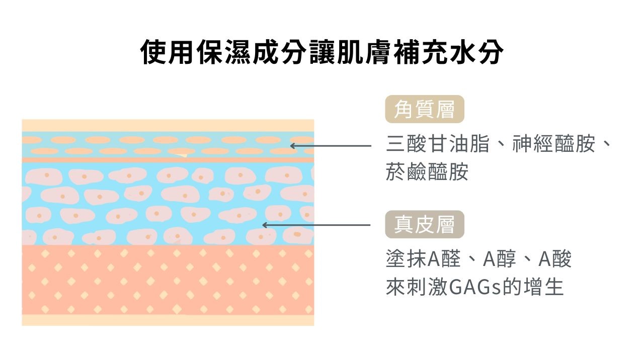 皮膚真的需要保濕嗎？