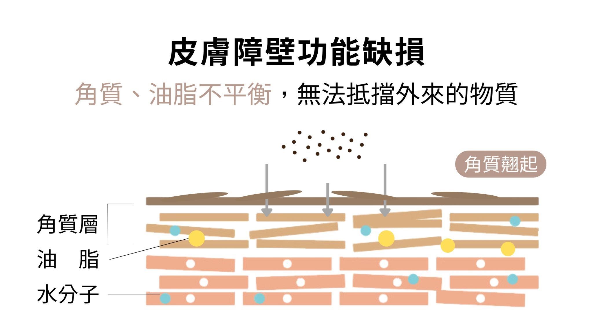 皮膚屏障受損怎麼辦？會有哪些症狀？