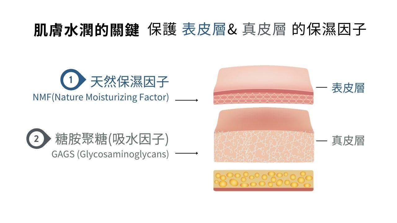 皮膚為什麼會乾癢？皮膚保濕推薦！