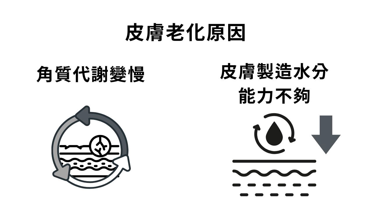 保濕能抗老嗎？抗老成分有哪些？