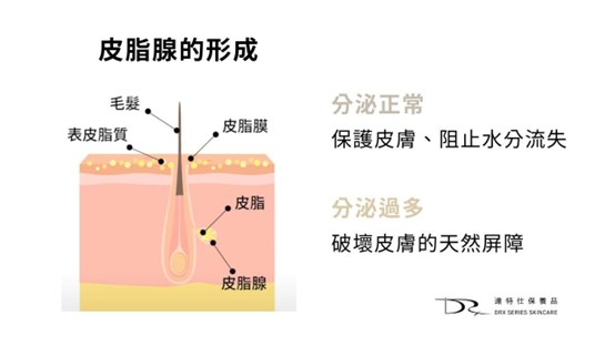 你的臉常出油出到油光四射嗎？過度出油，很多時候帶來的不僅是外觀上油膩膩的困擾，還可能導致一連串的皮膚問題，例如毛孔粗大、蠕形螨蟲增生等等，今天就讓我們來探討出油與不同皮膚問題之間的關聯性吧！