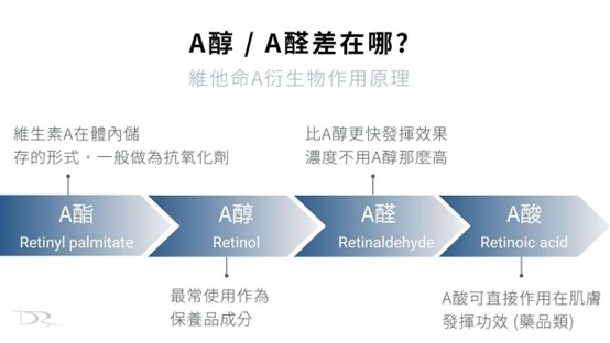 皮脂腺分泌旺盛怎麼辦？外用和口服保養成分介紹！
