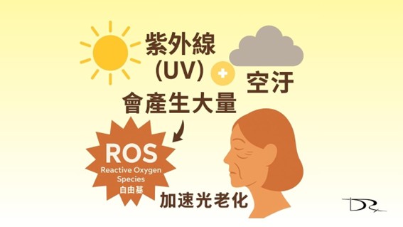 大豆異黃酮(Soy Isoflavones)如何幫助保持年輕肌？