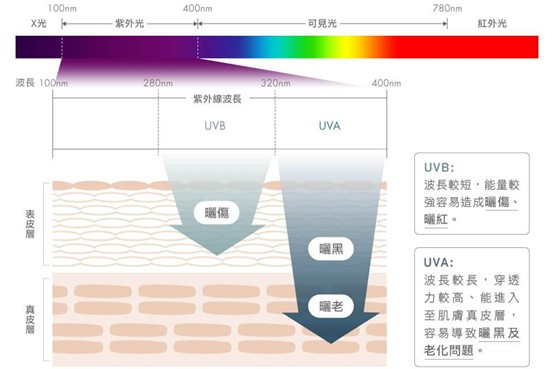 不擦防曬會怎樣？防曬乳、防曬噴霧有差嗎？