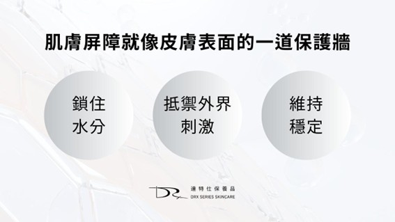 修護肌膚屏障：膽固醇、神經醯胺與脂肪酸