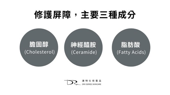 修護肌膚屏障：膽固醇、神經醯胺與脂肪酸