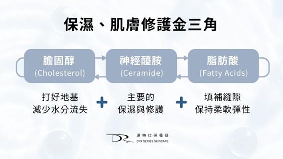 修護肌膚屏障：膽固醇、神經醯胺與脂肪酸