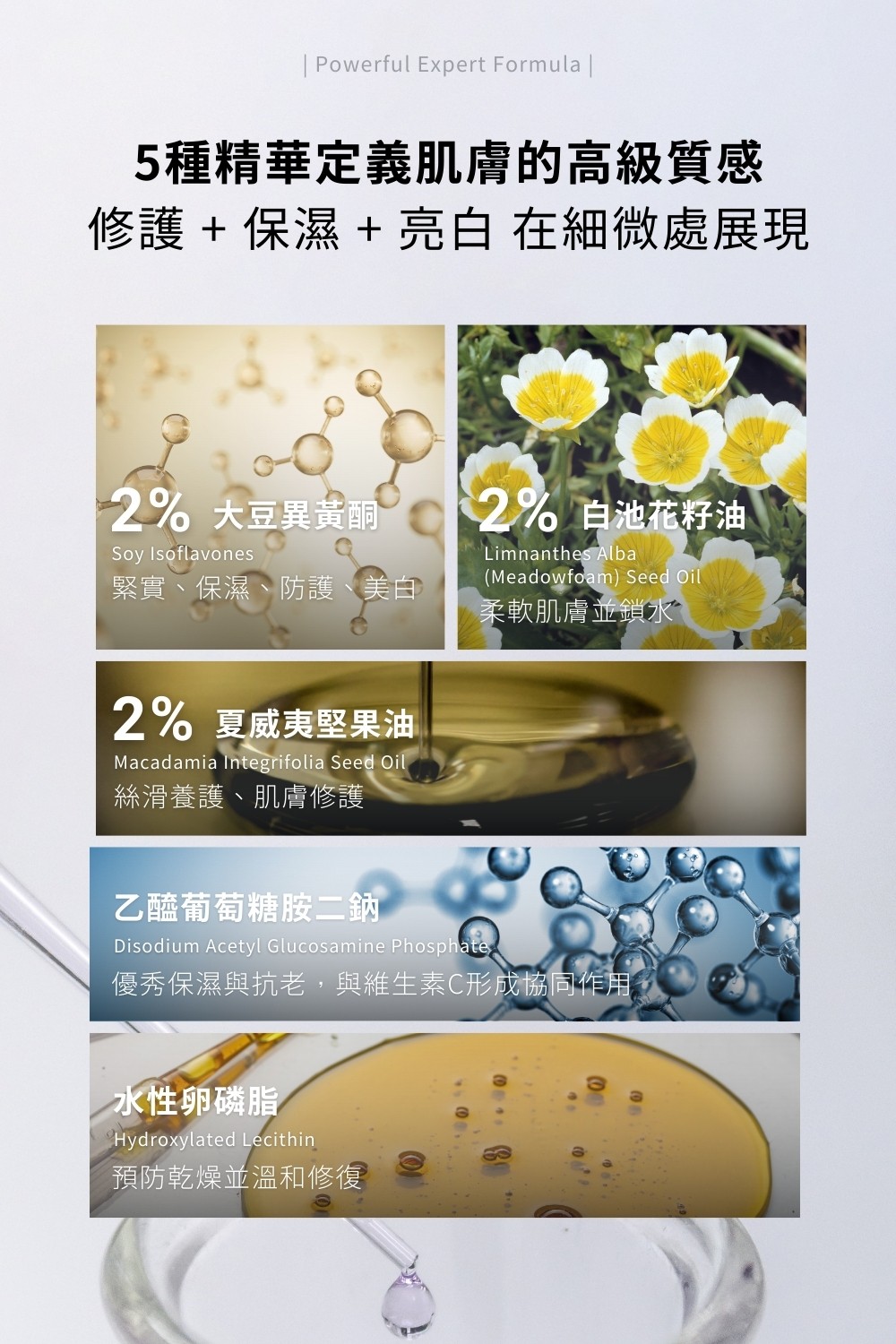 DRX達特仕的乳霜系列-DRX 0.5%維A極淨煥膚亮白乳，針對30歲以上、耐受性肌膚設計的抗老美白A醇。