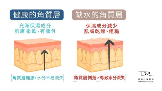 你的皮膚常常乾到出油？這樣乾到出油算乾性肌膚嗎？其實這種乾到出油的狀況，也常常被稱為外油內乾，到底乾性肌膚跟乾到出油有沒有差別？今天這一篇文章就讓我們來探討探討！
