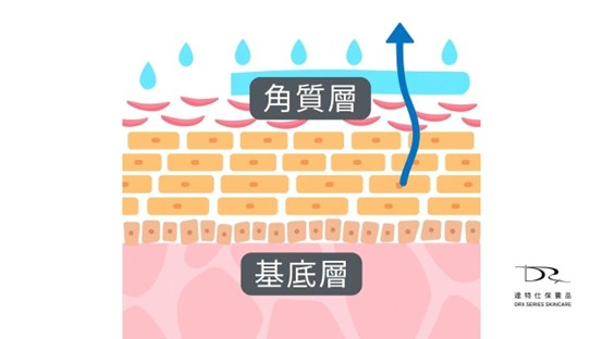 你的皮膚常常乾到出油？這樣乾到出油算乾性肌膚嗎？其實這種乾到出油的狀況，也常常被稱為外油內乾，到底乾性肌膚跟乾到出油有沒有差別？今天這一篇文章就讓我們來探討探討！