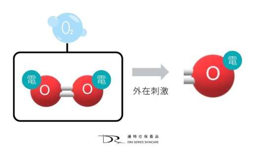 抗氧化能做什麼？抗氧化保養品推薦！