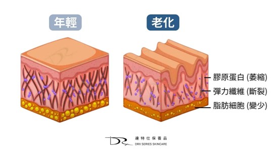 長皺紋的原因？如何讓皺紋變少？