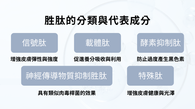 胜肽是什麼？胜肽的核心功效？