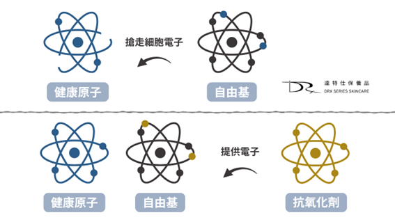 抗氧化是什麼？皮膚為什麼要抗氧化？