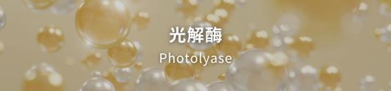 肝斑會消失嗎?肝斑治療的起點與下一步? 肝斑會消失嗎?肝斑治療的起點與下一步?