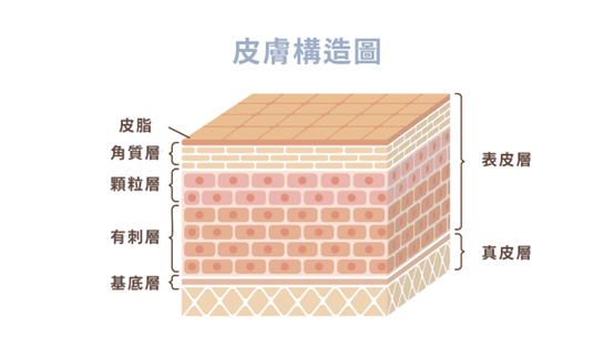 無論是改善青春痘、美白淡斑,保養品擦多久才有效果? 無論是改善青春痘、美白淡斑,保養品擦多久才有效果?