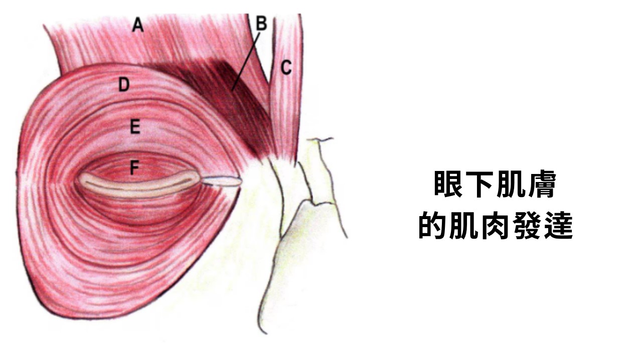 眼下遮瑕卡粉怎麼辦?黑眼圈要用什麼顏色遮? 眼下遮瑕卡粉怎麼辦?黑眼圈要用什麼顏色遮?