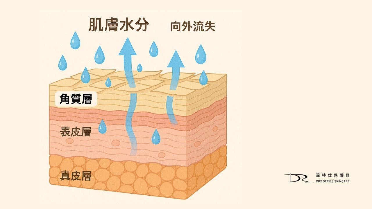 又到了換季的時節！隨著天氣逐漸變冷，你會不會覺得臉常常會乾乾癢癢的呢？今天就讓我們來探討不同膚質該在換季時怎麼保養吧！換季的肌膚保養品推薦都在這一篇文章！