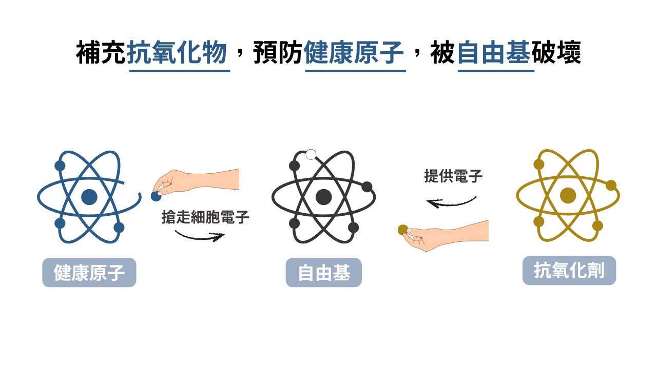 為什麼皮膚需要抗氧化:維他命C早上擦的好處?晚上可以塗維他命C嗎? 為什麼皮膚需要抗氧化:維他命C早上擦的好處?晚上可以塗維他命C嗎?