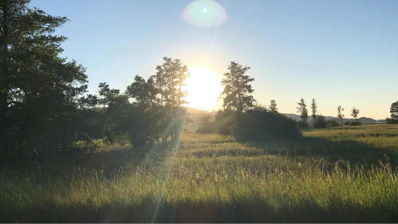 美容儀有用嗎？