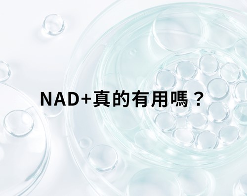 NAD+真的有用嗎？