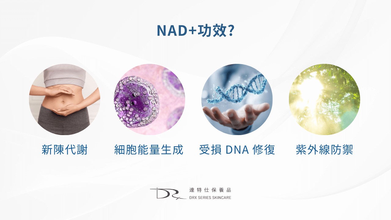 NAD+真的有用嗎？