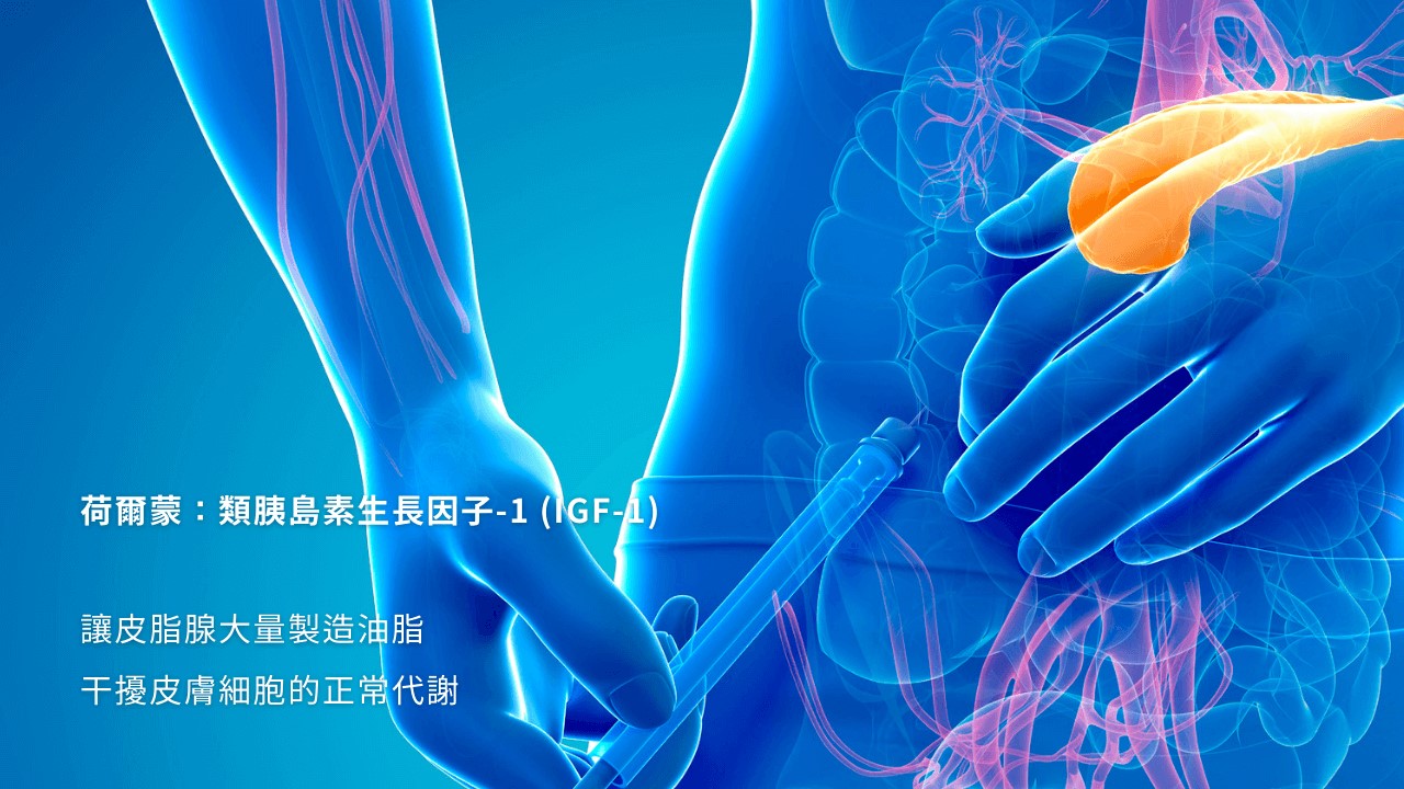 痘痘飲食禁忌！吃炸的一定會長痘痘嗎？哪些食物越吃越油！