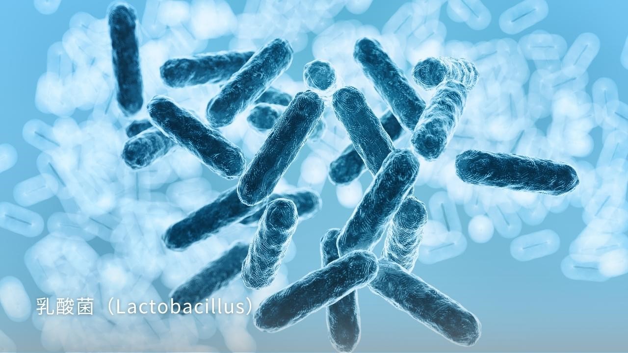 益生菌會讓皮膚變好嗎？益生菌用吃的還是用擦的，哪個效果比較好？