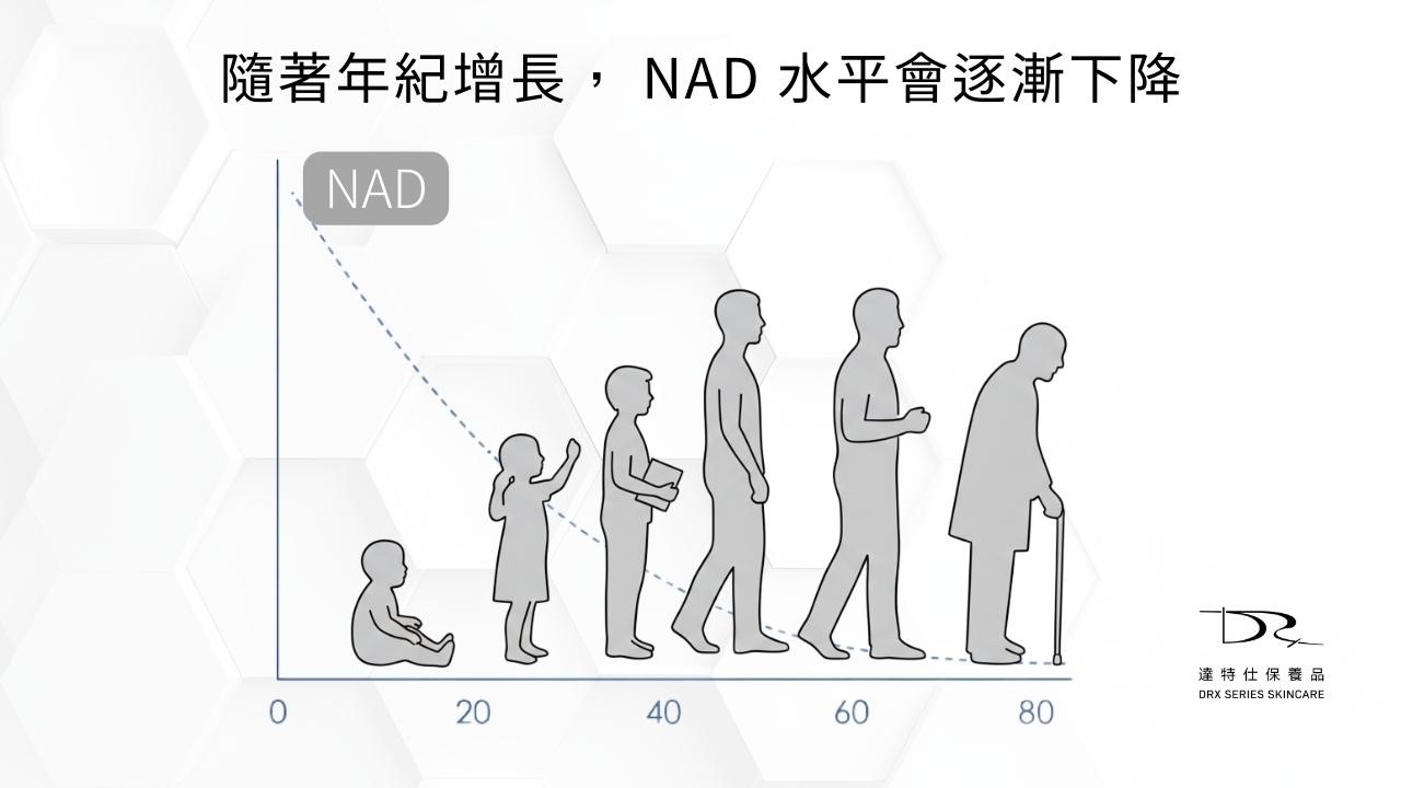 又一個你沒聽過的成分出現了——NMN。最近，不只在保健食品圈，連保養品成分表裡，也開始看到它的名字。