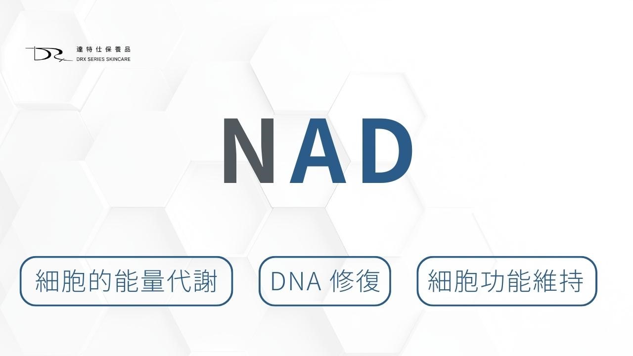 又一個你沒聽過的成分出現了——NMN。最近，不只在保健食品圈，連保養品成分表裡，也開始看到它的名字。