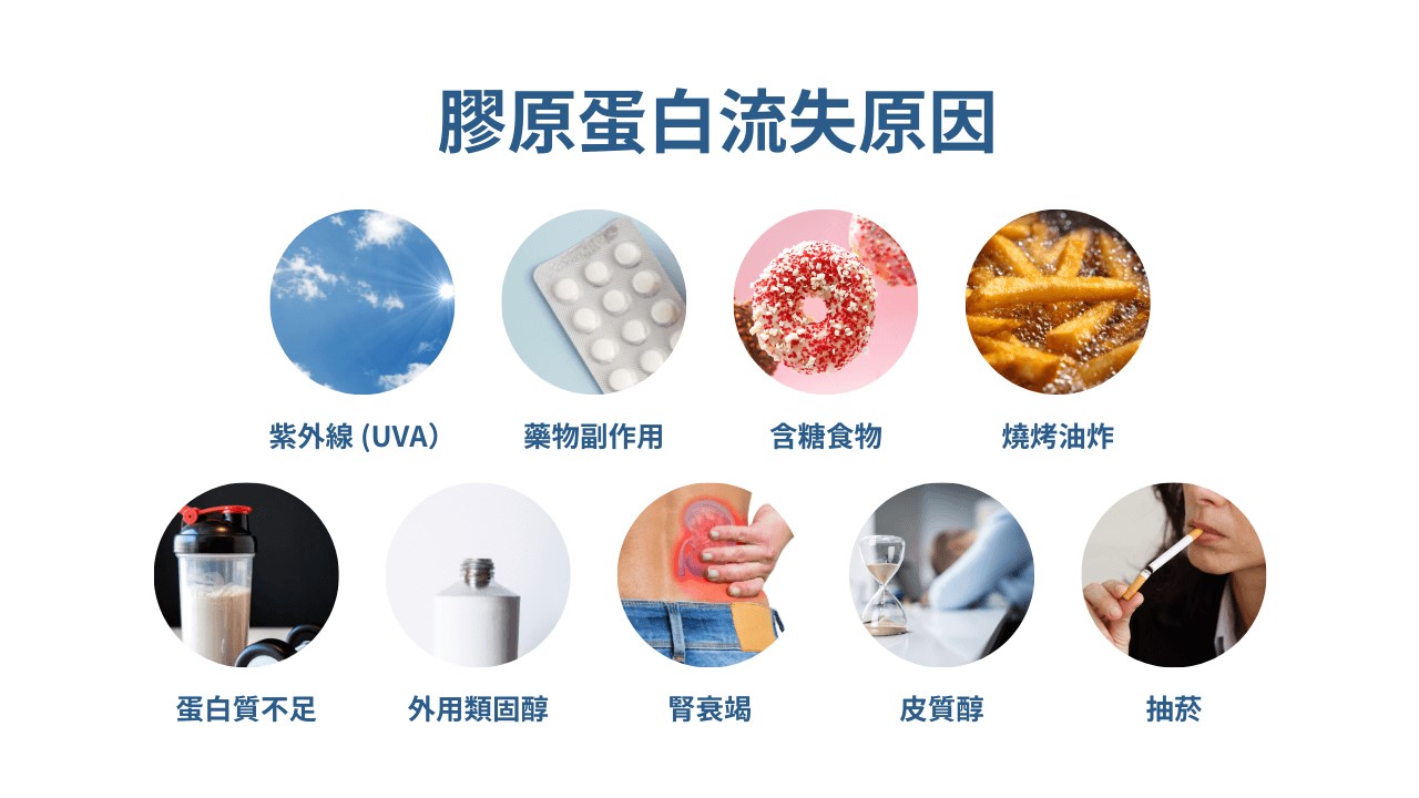 皮膚薄怎麼改善，補充膠原蛋白的方法？破壞膠原蛋白食物清單？